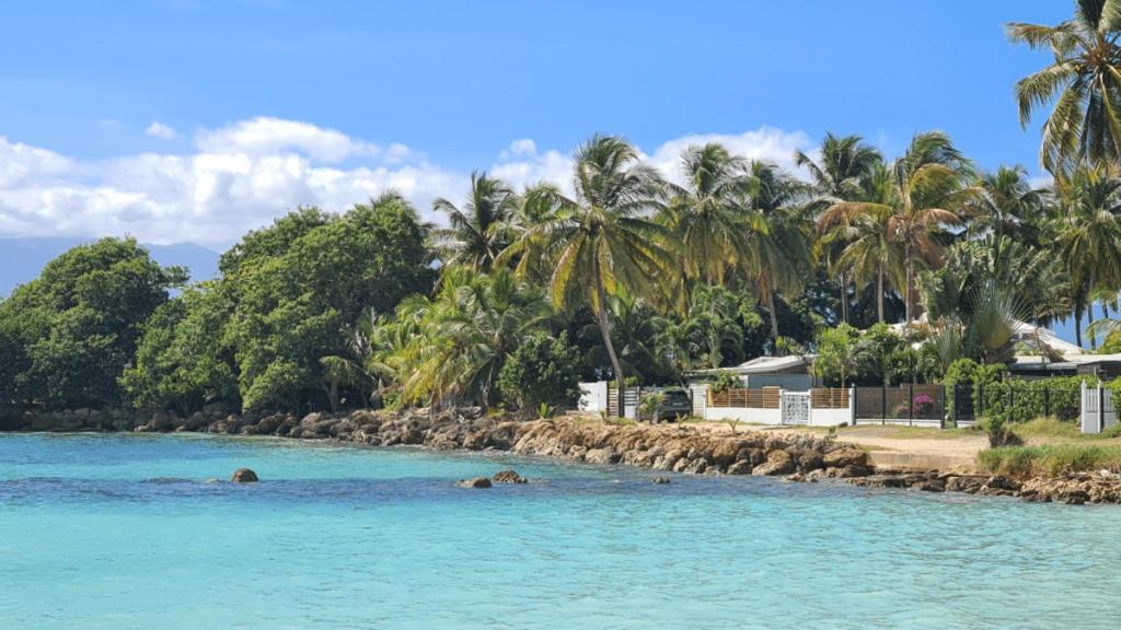 T2 Calme Et Lumineux Au Coeur De Pointe-A-Pitre Apartment ภายนอก รูปภาพ
