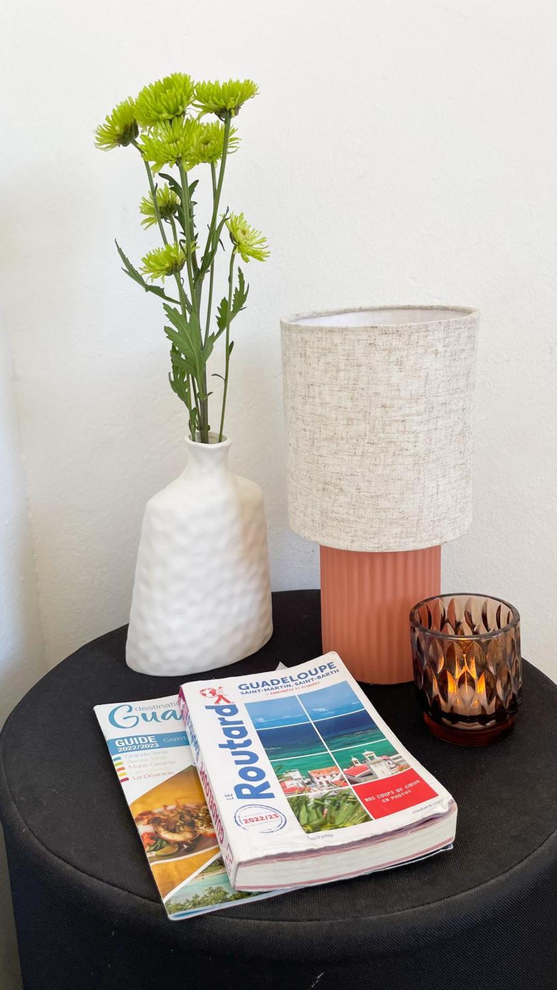 T2 Calme Et Lumineux Au Coeur De Pointe-A-Pitre Apartment ภายนอก รูปภาพ